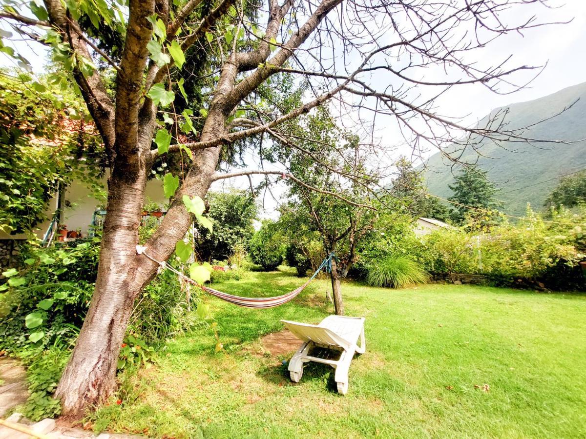 Impeccable Apartment With View In Dolna Matka 斯科普里 外观 照片